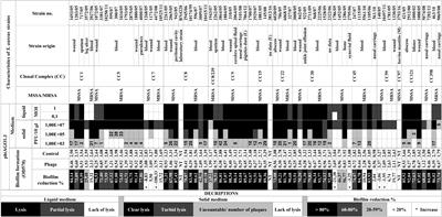 The Ability of Lytic Staphylococcal Podovirus vB_SauP_phiAGO1.3 to Coexist in Equilibrium With Its Host Facilitates the Selection of Host Mutants of Attenuated Virulence but Does Not Preclude the Phage Antistaphylococcal Activity in a Nematode Infection Model